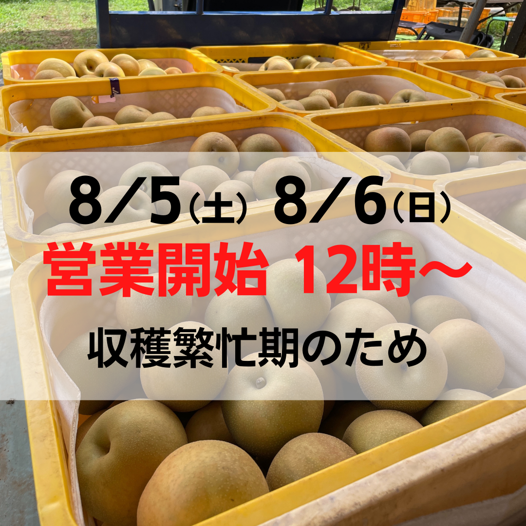 You are currently viewing 【8/5(土)　8/6(日)】営業開始時間変更のお知らせ